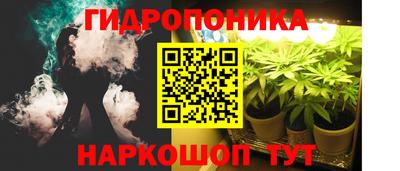 скорость Кинель