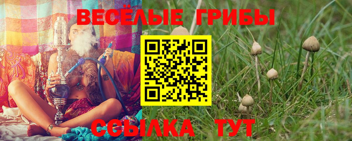 наркота  Вход с VPN  Кропоткин  Псилоцибиновые грибы GOLDEN TEACHER 